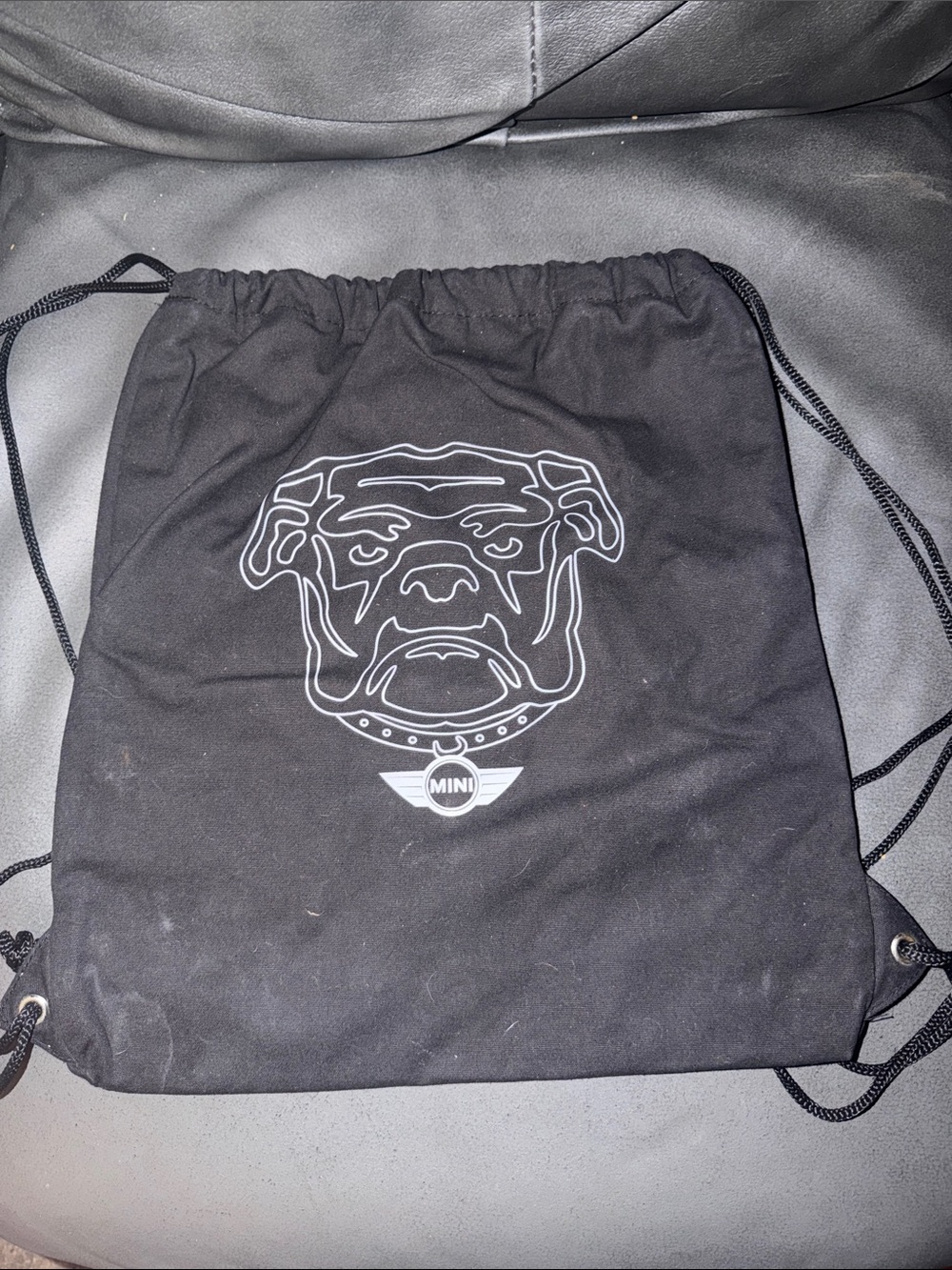 Auto mini cooper dawg insulated cooler draw string backpack bag collectible car